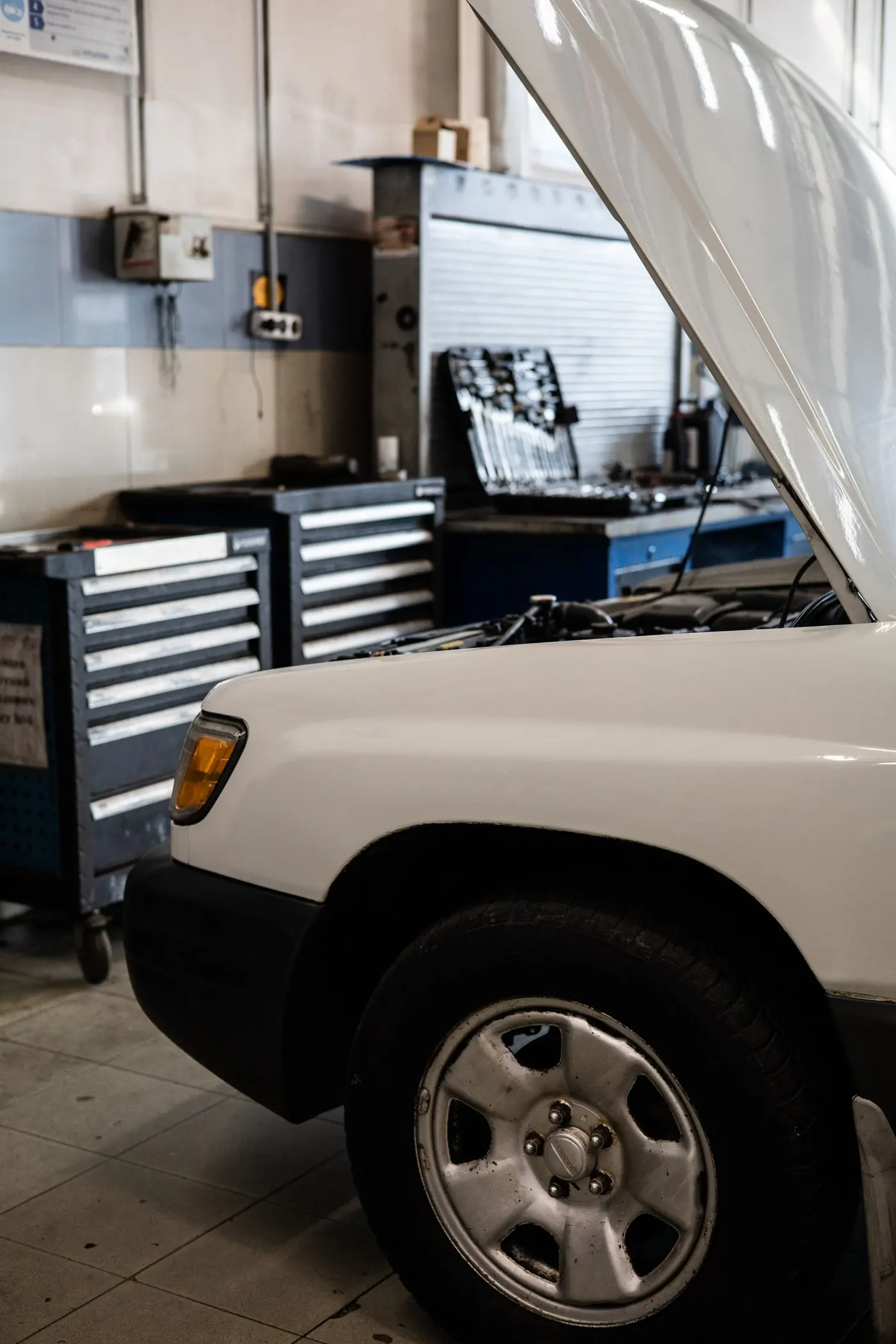 Routine Service & Oil